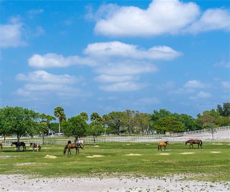 TRADEWINDS PARK & STABLES (2026) All You Need to Know BEFORE You Go ...