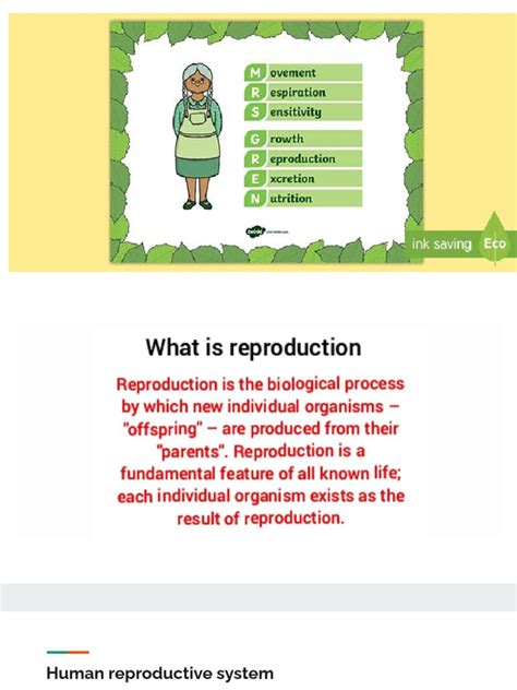 Image result for Reproduction in Humans Class 8 ICSE