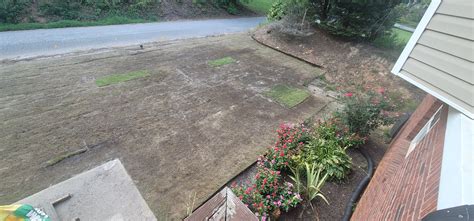 I tried to level my new Zeon Zoysia yard and I put the level mix to ...