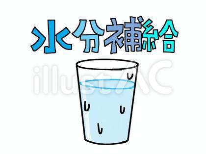 Image result for ISO Software Development