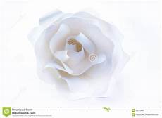 Beautiful White Backgrounds by Beautiful White On White Background Stock Photo Beautiful White Backgrounds