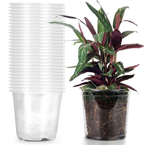 Amazon.com: RAOOKIF 30 Pack 1 Gallon Pots with Drainage Holes, 7 Inch ...