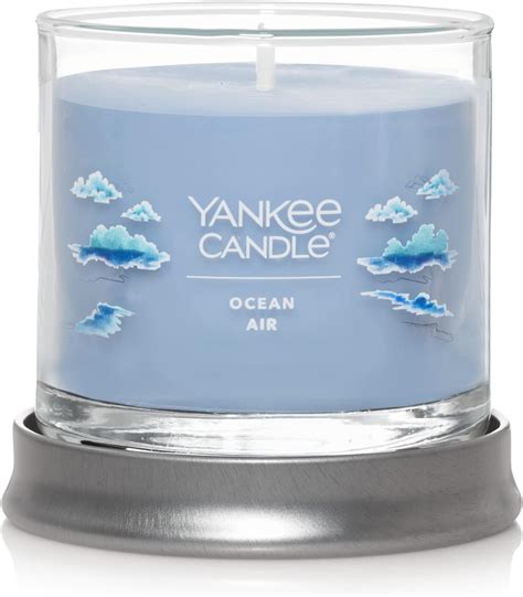 Amazon.com: Yankee Candle Ocean Air Scented, Signature 4.3oz Small ...