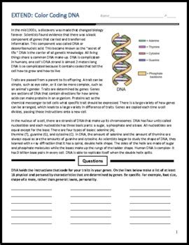 Image result for AncestryDNA Color Coding