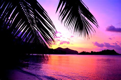 Image result for paradise