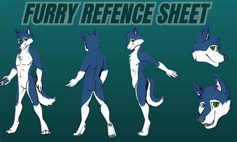 Draw furry reference sheet fursona character design anime ref sheet ...