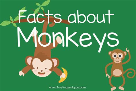 100 Fun Facts About Monkeys [Free Fact Cards] | Animal facts ...