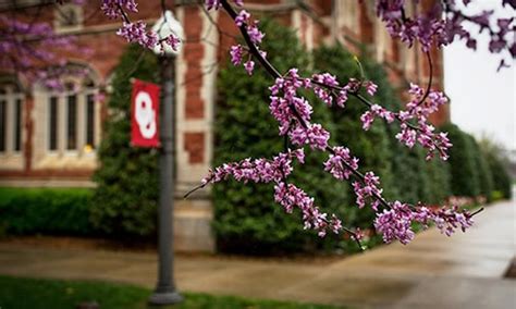Academic Calendars: Programs & Classes Schedule | OU Online