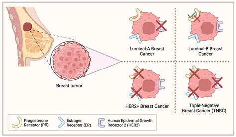The Potential of Hormonal Therapies for Treatment of Triple-Negative ...