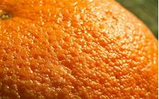 cellulite e alimentazione alimentazione anti cellulite cellulite e alimentazione alimentazione anti cellulite