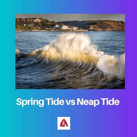 Spring And Neap Tide Difference at Harrison Dunckley blog
