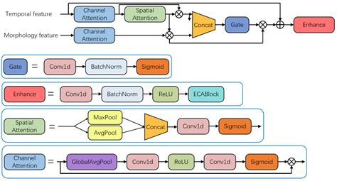 ECG Waveform Segmentation via Dual-Stream Network with Selective ...