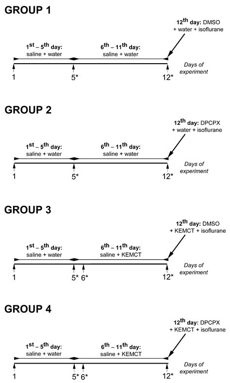 Exogenous Ketone Supplement Administration Abrogated Isoflurane-Anesthesia-Induced Increase in ...