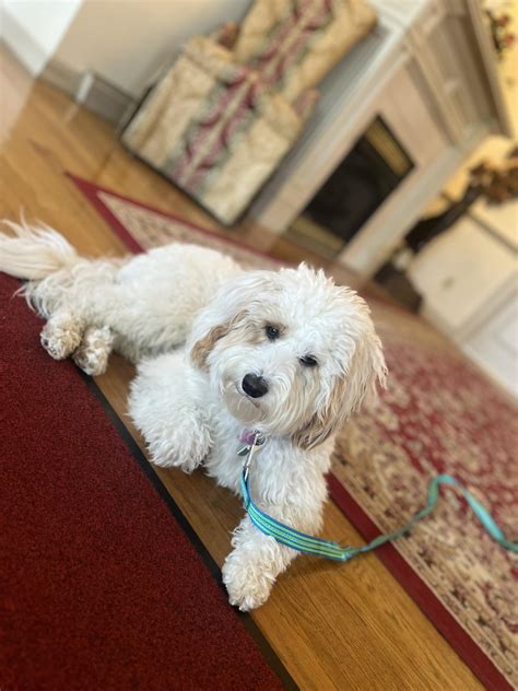 DeMoney-Grimes Funeral Home | Columbia City IN