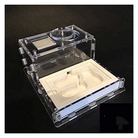 Buy Plaster Ants Nest Villas Ant House Insect Cages Ant Works Farm Ants ...