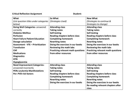 Critical Reflection Assignment 的图像结果