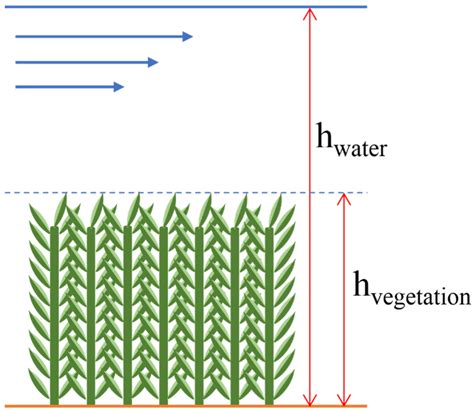 Dynamic Roughness Modeling of Seasonal Vegetation Effect: Case Study of ...
