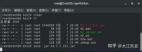 Java Connect to H2 DB in Linux 的图像结果