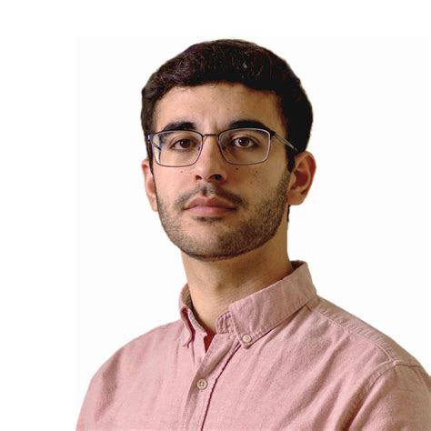 Do grizzly bears really hibernate? The answer's complicated | CBC News