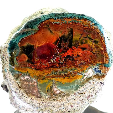 Blue Opalized Petrified Wood on Metal Stand With Natural Sunset Scene ...