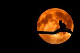 Image result for Example PDF Form of Calculation