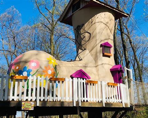 TREEHOUSE WORLD - All You Need to Know BEFORE You Go 2026 (with Photos ...