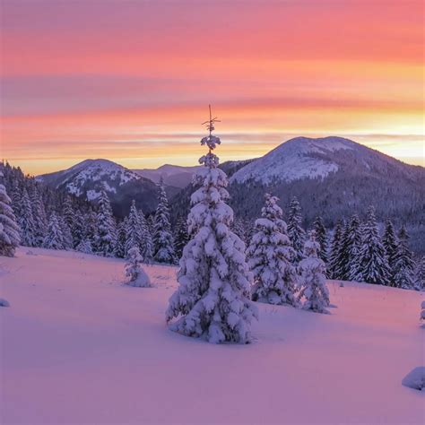 Knights Farm Supply (@knightsfarmsupplyinc) • Instagram photos and videos