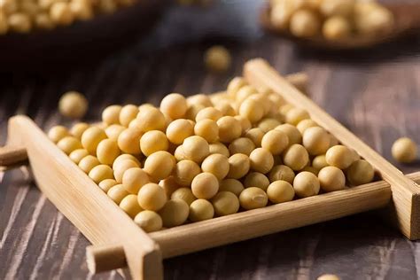 Hydrolyzed Soy Protein: Uses, Safety, and Side Effects - FP Group