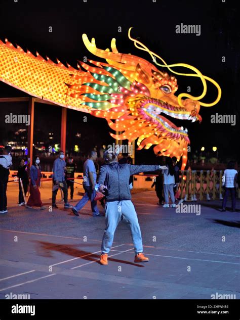 Chinese ShuttleCock 的图像结果