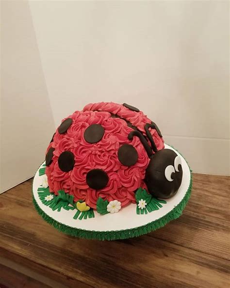 Making a Ladybug Cake 的图像结果