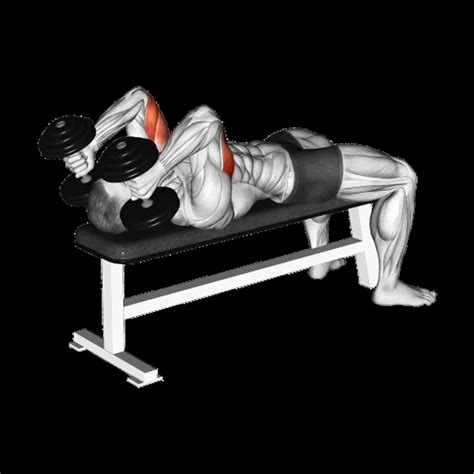 Dumbbell Triceps Extension: Guide, Muscles Worked, Tips | Athlemove