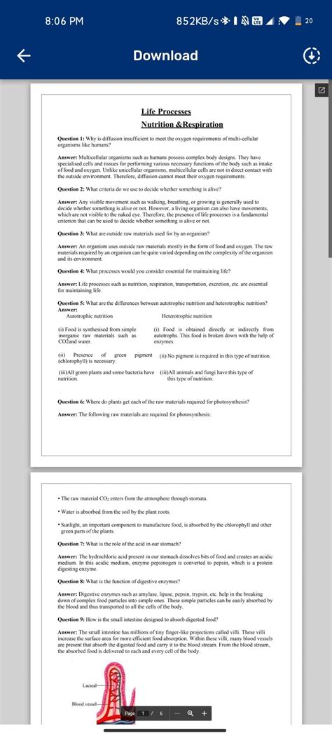 Image result for Class 10 Bio Videos