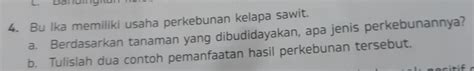 Solved: Daruing 4. Bu Ika memiliki usaha perkebunan kelapa sawit. a ...