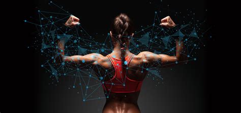 PERFORMANCE 的图像结果