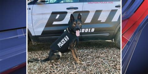 Paragould Police K9 receives body armor donation