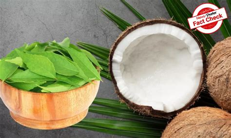Fact Check: Video promoting mixture of curry leaves, coconut milk and ...