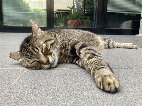 "Global Governance Programme at Tor Vergata University of Rome: Shaping ...