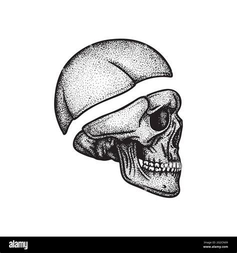Side View Facing Skull Drawing