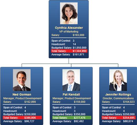 Image result for OrgPlus Org Chart