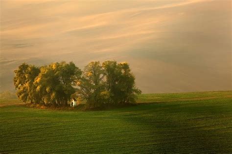 Image result for Light Color Photography