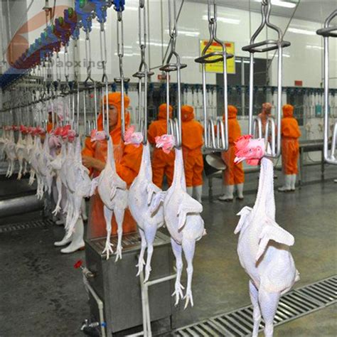鸡屠宰生产线全自动鸡屠宰生产线 188,66776111 宏德-食品商务网
