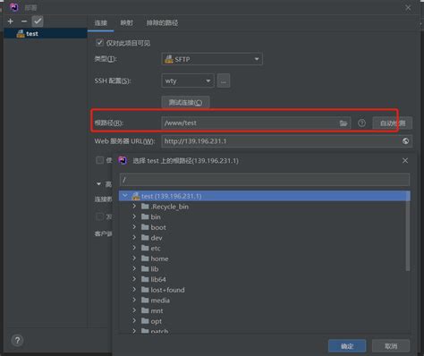 PhpStorm Database Connection 的图像结果