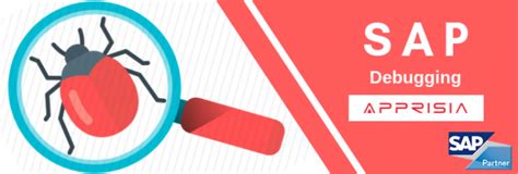 Image result for Basic Debugging SAP Program