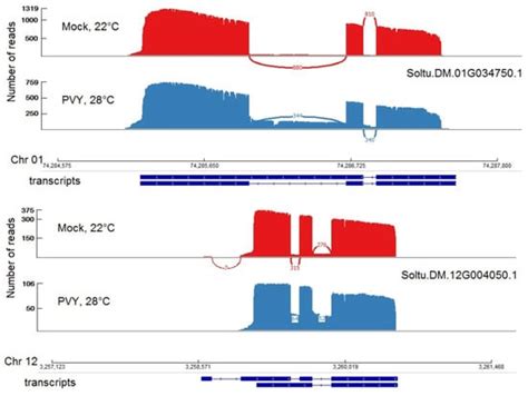 Transcriptomic Reprogramming, Alternative Splicing and RNA Methylation ...