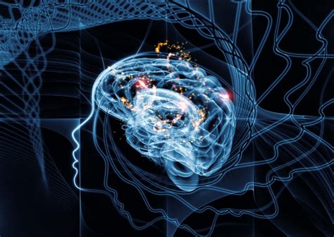 Behavior Science Desktop Background 的图像结果