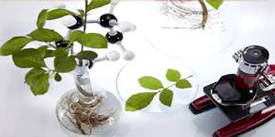 Sequence Listing of nucleotides/amino acids-WIPO Standard ST.26 ...