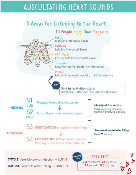 Heart Sounds Auscultation – S1, S2, S3, S4 Explained with Mnemonics