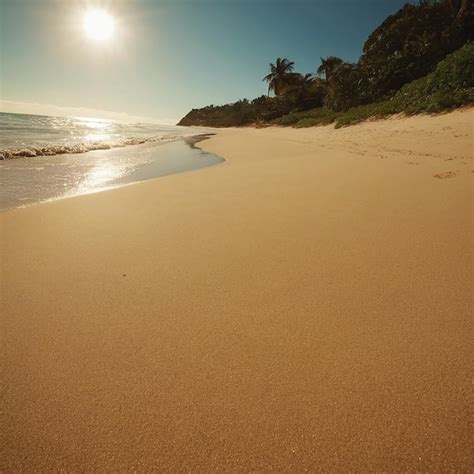 Sea Beach 的图像结果