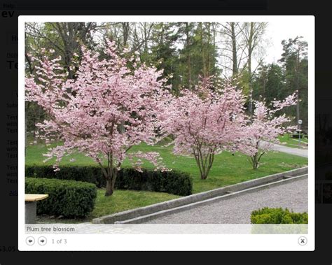 Image result for Color Box Drupal