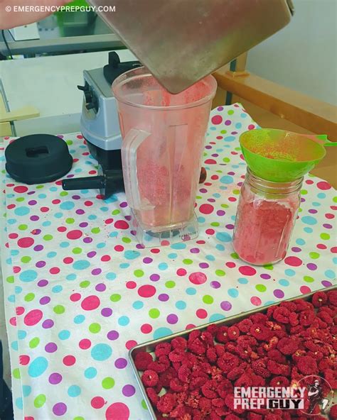 How to Freeze-Dry Raspberries at Home (Step-by-Step Guide)